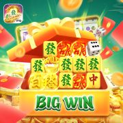 55mbet