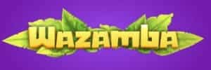 Shindo life blaze codes